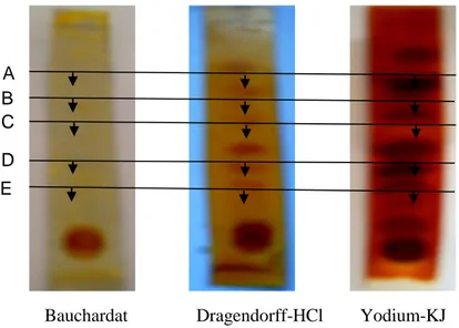 Gambar 1. Foto Hasil Identifikasi Komponen Kimia Dari Kromatogram Ekstrak Dietil Eter Rimpang  Lempuyang Wangi (Zingiber aromaticum Vahl.) (A