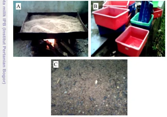 Gambar 3   Persiapan  dan  pembuatan  media  tabur  untuk  perkecambahan  benih  cendana; A) pasir yang sedang disangrai, B) pencucian bak tabur, dan  C) media tabur  