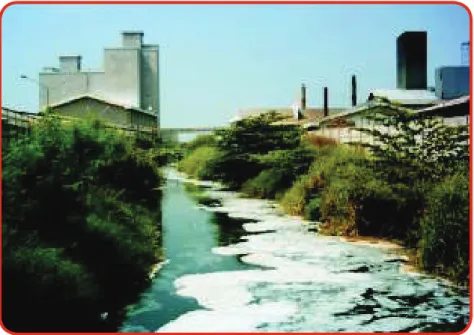Gambar 1.4 Pencemaran lingkungan yang disebabkan karena limbah pabrik  merupakan salah satu bentuk pelanggaran HAM