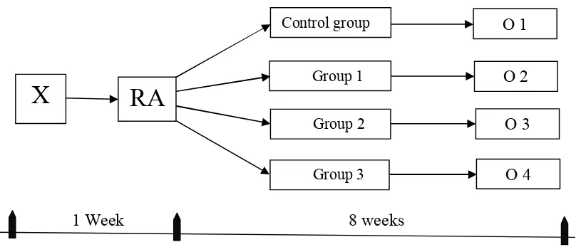 Figure 6 . The scheme of the study 