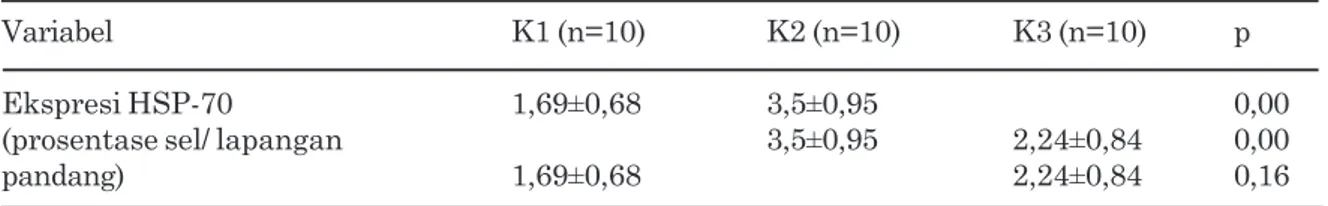 Gambar 1. Perbandingan imunohistokimia ekspresi HSP-70 di plasenta Mencit Hamil Normal (K-1), Model Preeklamsia (K-2), Model Preeklamsia dengan pemberian VEGF 121 Rekombinan