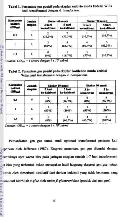Tabel 1. Persentase gus positif pada eksplan embrio muda kedelai Wilis 