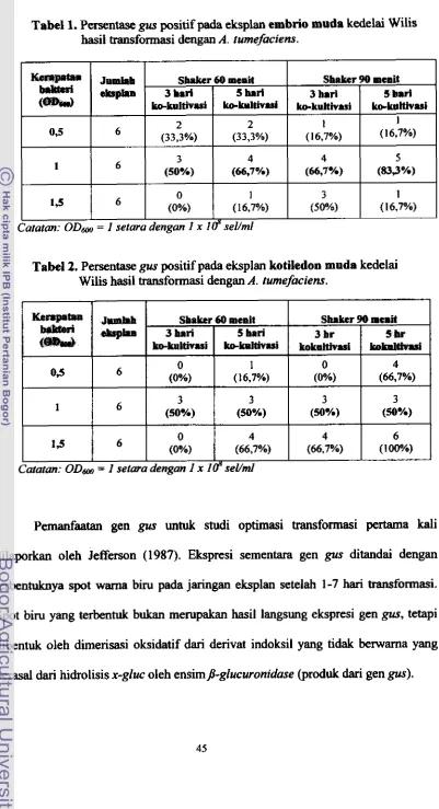 Tabel 1. Persentase gus positif pada eksplan embrio muda kedelai Wilis 