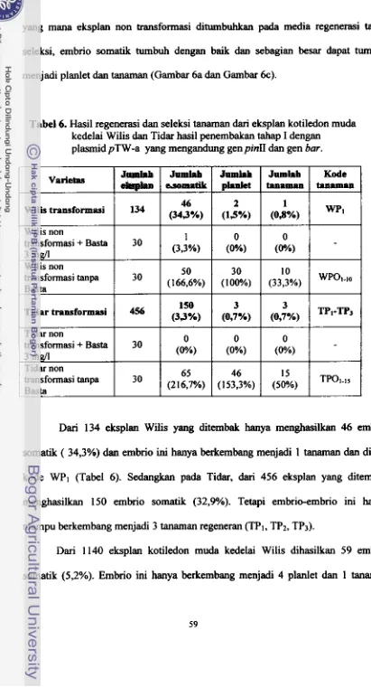 Tabel 6. Hasil regenemi dan seleksi tanaman dari eksplan kotiledon muda 