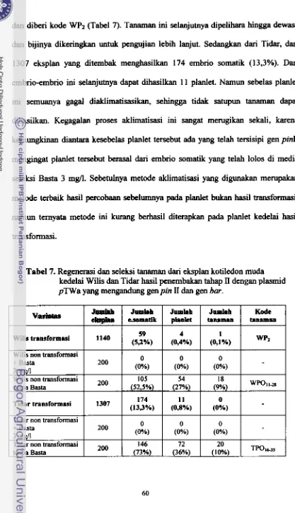 Tabel 7. Regenemi dan seleksi tanaman dari eksplan kotiledon muda 