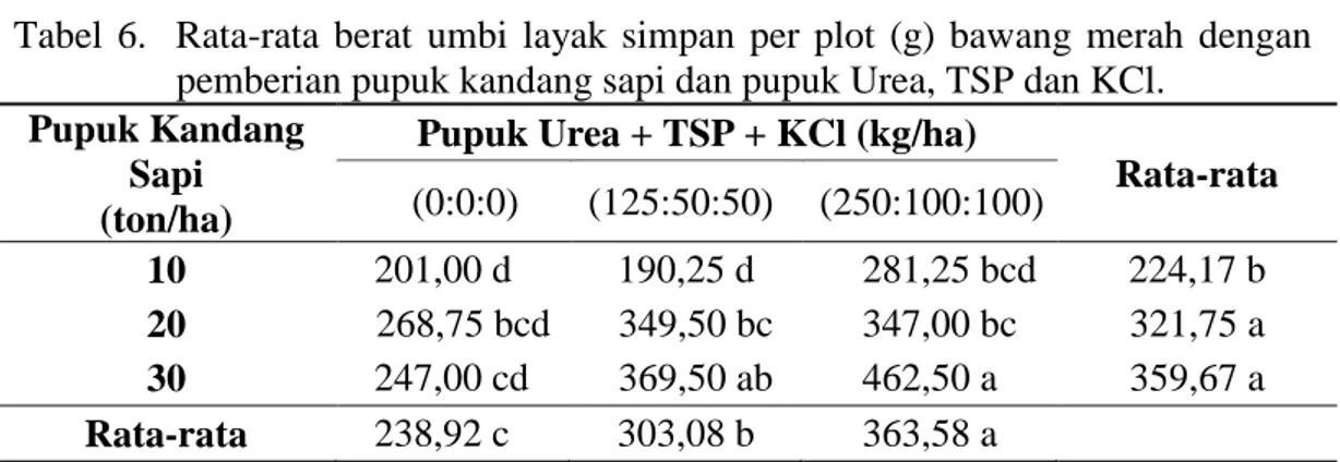 Tabel  6  menunjukkan  bahwa  kombinasi pemberian pupuk kandang  sapi  dosis  30  ton/ha  dengan  pupuk  Urea 250 kg/ha, TSP 100 kg/ha, KCl  100  kg/ha  menghasilkan  berat  umbi  layak  simpan  per  plot  tertinggi  yaitu  462,50 g berbeda tidak nyata den