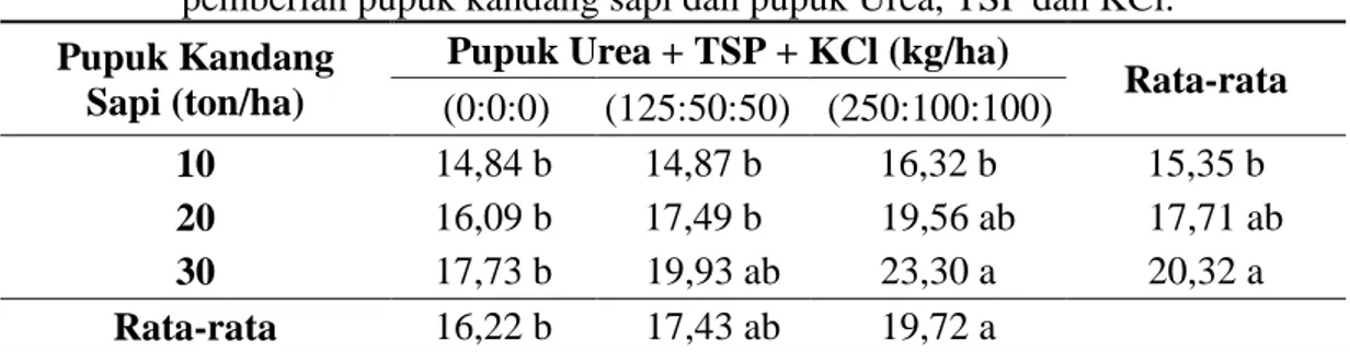 Tabel  4.  Rata-rata  berat  umbi  segar  per  tanaman  (g)  bawang  merah  dengan  pemberian pupuk kandang sapi dan pupuk Urea, TSP dan KCl