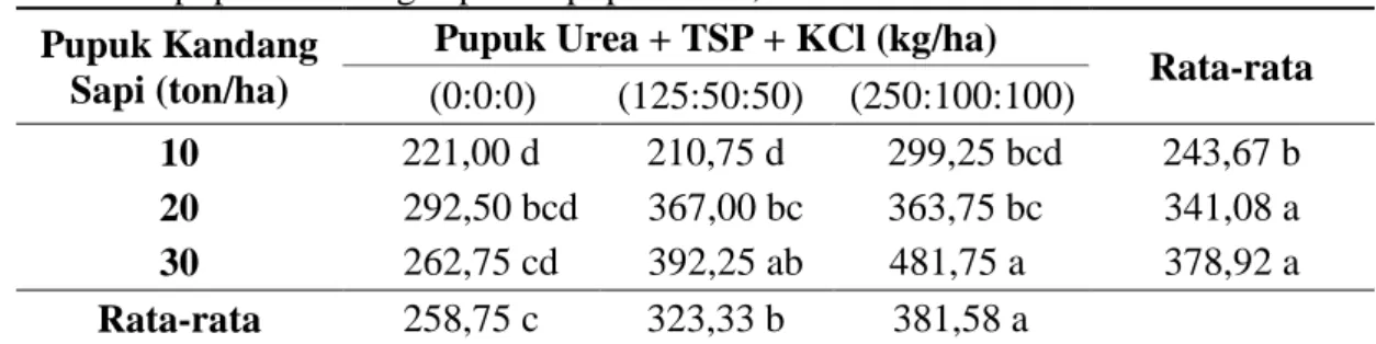 Tabel 5. Rata-rata berat umbi segar per plot (g) bawang merah dengan pemberian  pupuk kandang sapi dan pupuk Urea, TSP dan KCl