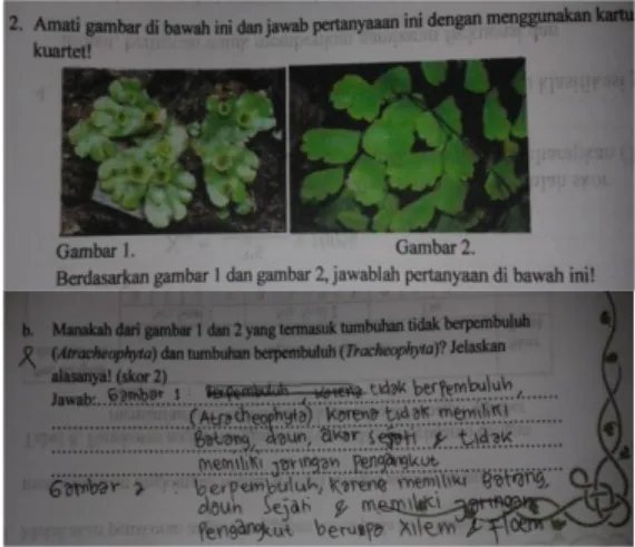 Gambar  7.  Contoh  jawaban  siswa  untuk  indikator    C1  (Ingatan)    pada  LKS   eksperimen  pertemuan  pertama  materi dunia tumbuhan