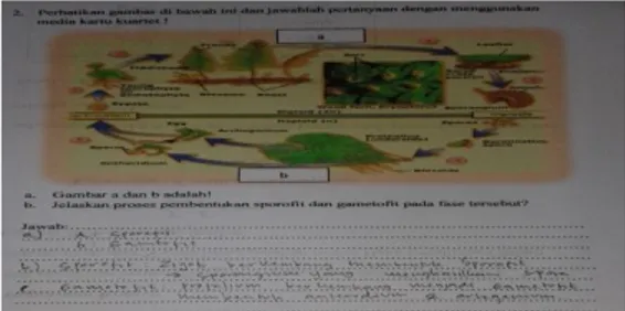 Gambar  9. Contoh jawaban siswa untuk  indikator  C4 (Analisis) pada LKS   eksperimen pertemuan kedua materi  dunia tumbuhan
