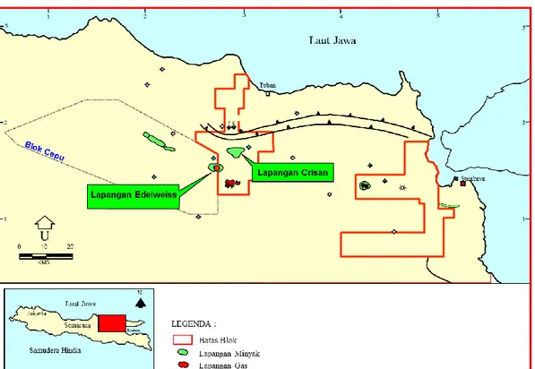 Gambar  1.1  Lokasi  Penelitian  di  Cekungan  Jawa  Timur  (Geological  Well  Report  JOB  PPEJ, 