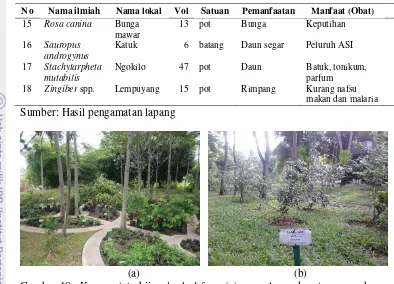 Gambar 18 Konsep tata hijau herbal farm (a) pengelompokan tanaman dengan desain mengikuti pola pedestrian dan (b) papan nama tanaman 