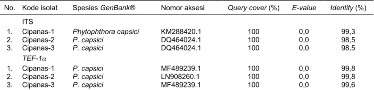 Tabel 2.  Homologi tiga isolat patogen uji dengan koleksi isolat pada basis data GenBank® berdasarkan urutan DNA  ITS dan gen TEF-1