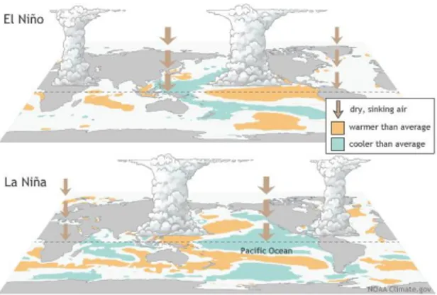 Gambar 1. Kondisi El Niño dan La Niña 13
