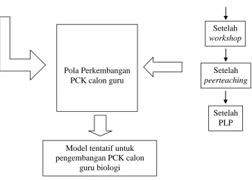 Gambar 3.2. Prosedur Penelitian 