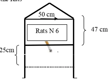 Fig 10. Design of the cage size of passive smoking 