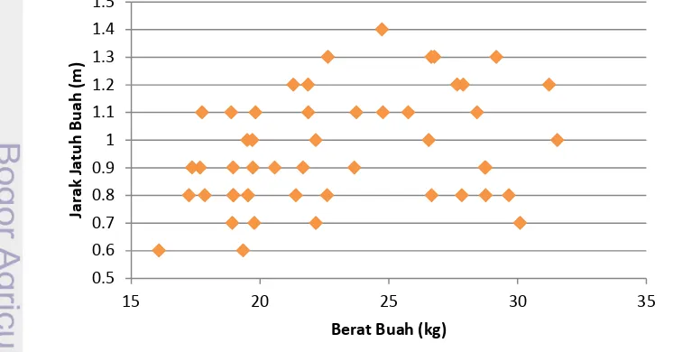 Gambar 12 Grafik hubungan antara berat buah dengan jarak jatuh buah 