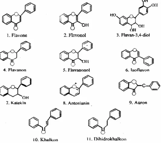 Gambar 1. Kelas Falvonoid berdasarkan oksidasi rantai C3 (Ikan, 1969).