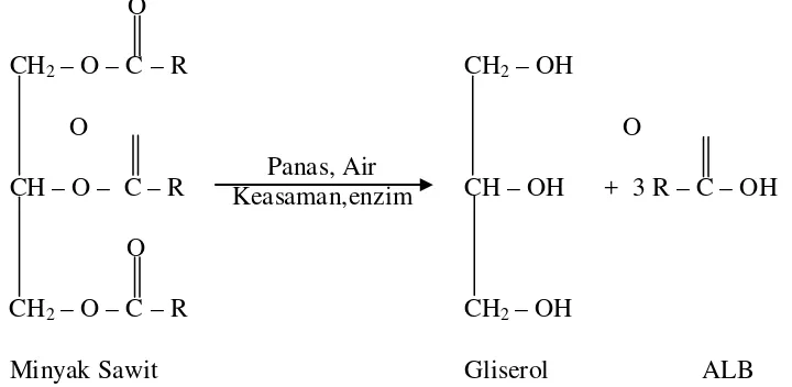 Gambar 2.5 Reaksi hidrolisa 
