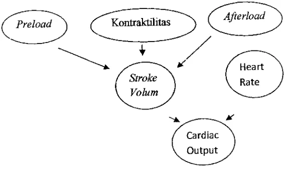 Gambar 1. Skema alir Cardiac Output 