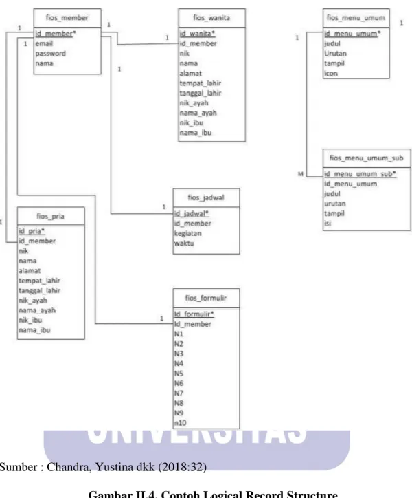 Gambar II.4. Contoh Logical Record Structure 