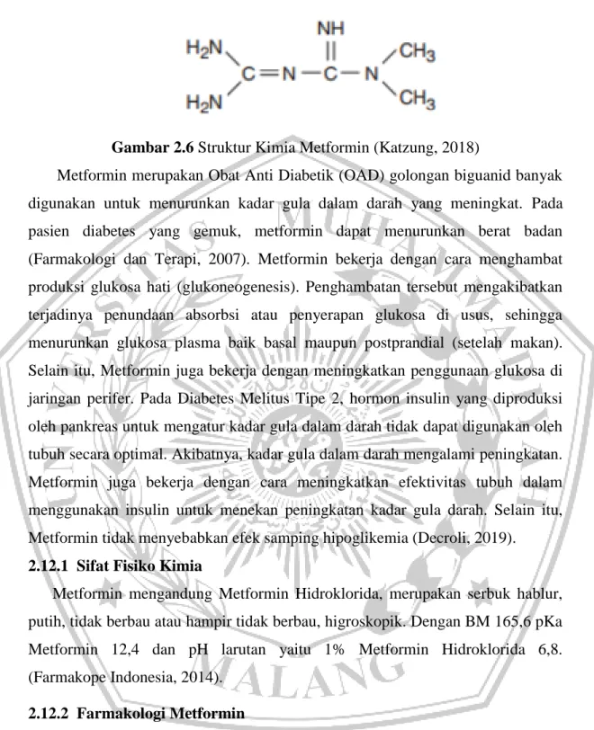 Gambar 2.6 Struktur Kimia Metformin (Katzung, 2018) 