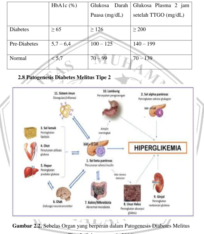 Tabel  II.2    Kadar  Tes  Laboratorium  Darah  untuk  Diagnosis  Diabetes  dan  Prediabetes 