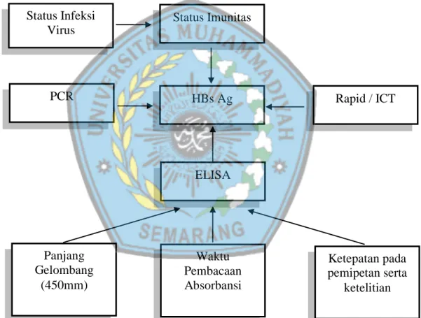 Gambar 3. Kerangka teori perbandingan titer HBs Ag dengan variasi pembacaan  absorbansi pada ELISA reader