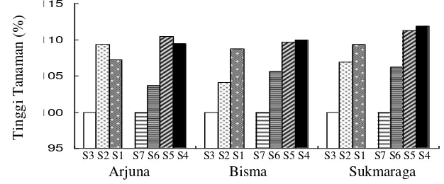 Gambar 2. Pengaruh perlakuan salinitas awal rendah terhadap nilai relatif tinggi  tanaman (%) pada berbagai varietas yang diuji