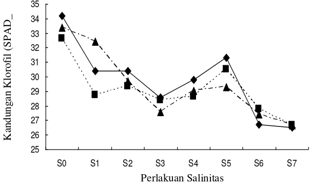 Gambar 5. Pengaruh perlakuan salinitas terhadap kandungan klorofil daun pada berbagai varietas yang diuji (Arjuna (♦), Bisma (■), Sukmaraga (▲))