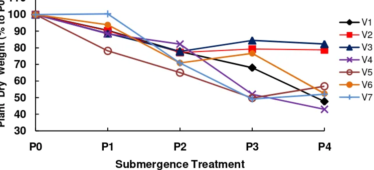Figure 2. Effect of submergence on plant dry weight two weeks after termination of submergence treatment in several rice genotypes