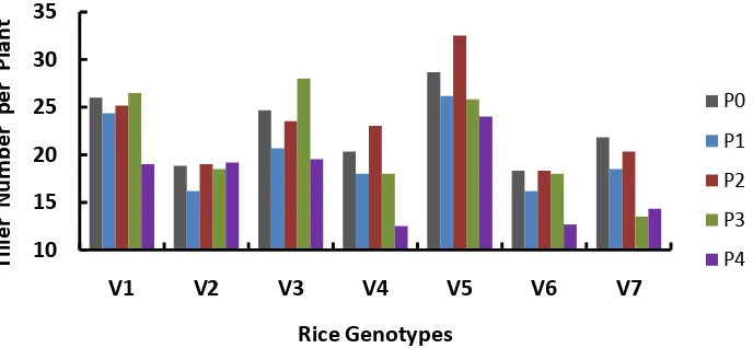Figure 3. Influence of submergence treatment on rice plant tiller number two weeks after termination of the treatment in several rice genotypes