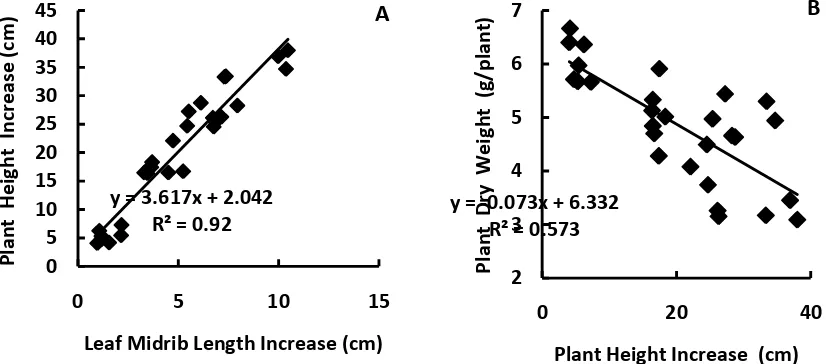 Figure 4. Relationship between leaf midrib length after submergence with plant height invasion two weeks after submergence terminated (A), and between plant height invasion and plant dry weight two weeks after submergence terminated (B)