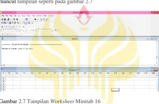 Gambar 2.7 Tampilan Worksheet Minitab 16 