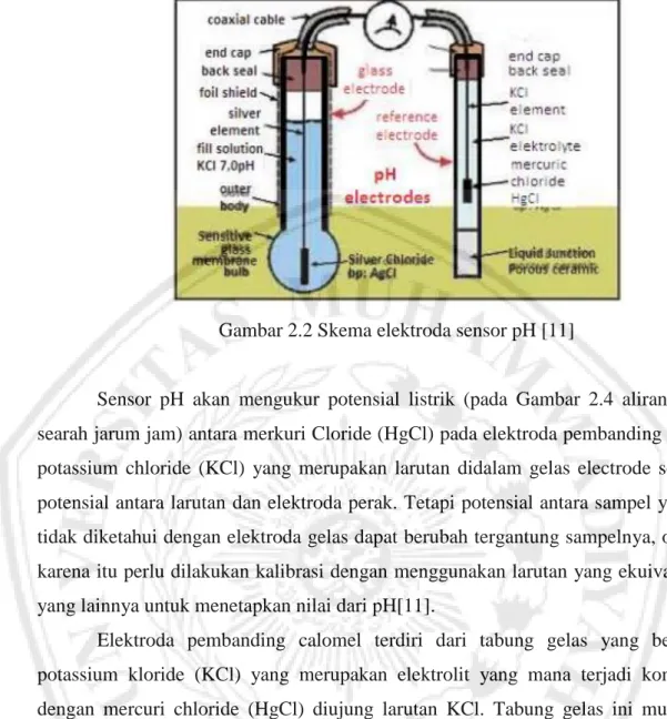 Gambar 2.2 Skema elektroda sensor pH [11] 