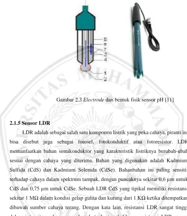 Gambar 2.3 Electrode dan bentuk fisik sensor pH [11] 