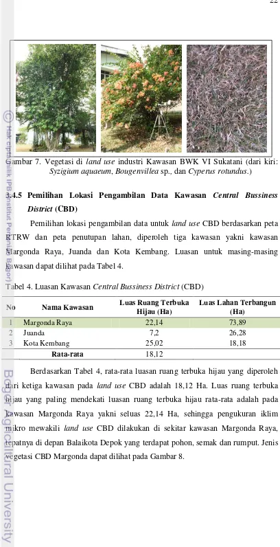Gambar 7. Vegetasi di land use industri Kawasan BWK VI Sukatani (dari kiri: 