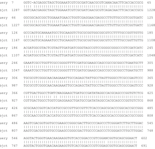 Figure 4. Alignment of ampliied pab gene of M. tuberculosis from Malang (query) and pab gene from   M