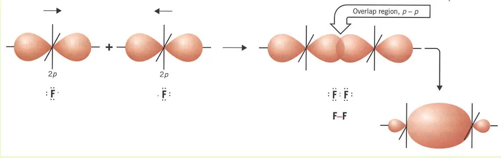 Gambar    pembentukan molekul F 2