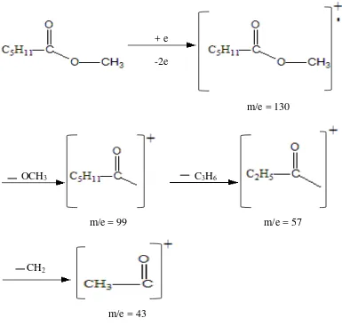 Gambar 4.5. :      Fragmentasi metil iso hexanoat 