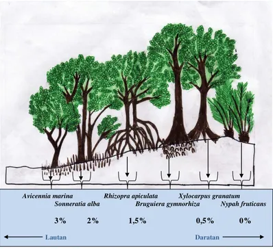 Tabel 1. Total Lipid dan Kandungan NSL pada jenis Rhizopora apiculata 