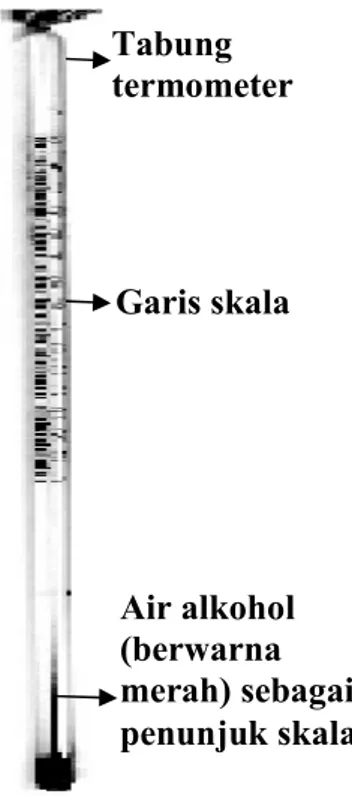 Gambar 1.3: Alat termometer Air alkohol (berwarna merah) sebagai penunjuk skala  Garis skala  Tabung termometer  