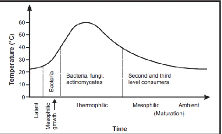 Gambar 2.2  Perubahan Suhu dan Pertumbuhan Mikroba Selama Proses  Pengomposan. 