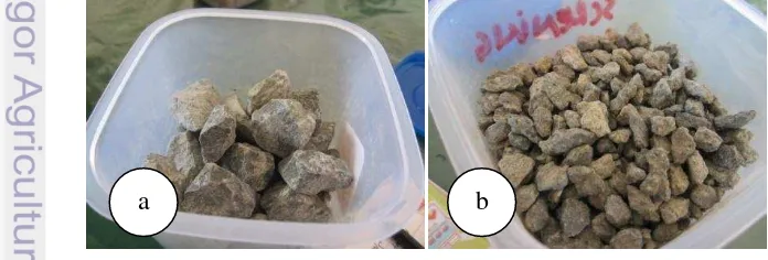 Gambar 18  Batu Split (a) dan Batu Skreening (b) sebagai media tanam 