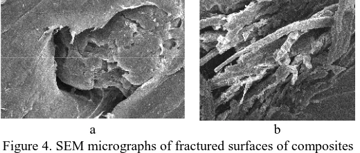 Figure 4. SEM micrographs of fractured surfaces of compositesrPP/EPOFB. a) without MAPP addition; b) with MAPPaddition (6 wt.%)