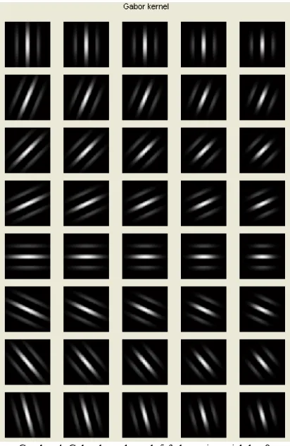 Gambar 5. (a) citra asli (b) hasil konvolusi dengan filter Gabor