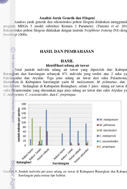 Gambar 4. Jumlah individu per jenis udang air tawar di Kabupaten Batanghari dan Kabupaten