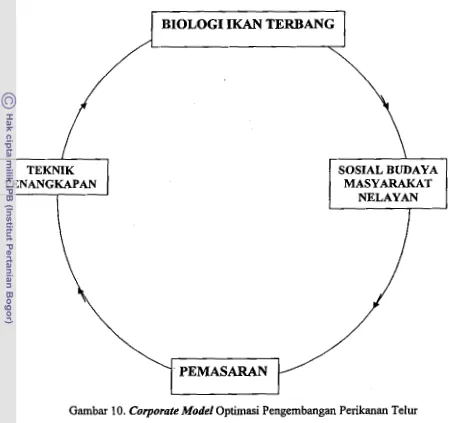 Gambar 10, Corporate Model Optirnasi Pengembangan Perikanan Telur 