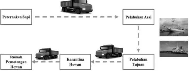 Gambar 1. Pola Distribusi Sapi Secara Umum 