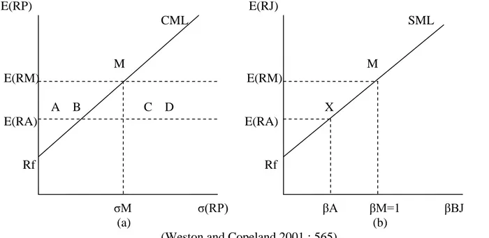 Grafik ini menunjukan perbandingan antara CML dan SML 